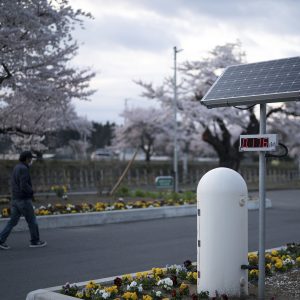 La lenta vuelta a la vida en los pueblos fantasma que dejó Fukushima