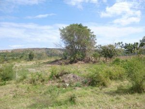 Aponte en la Vía Blanca