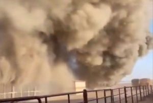 Una explosión mató a 18.000 vacas  