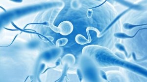 Infertilidad, la pandemia que “puede ser más peligrosa que el Covid para la humanidad”