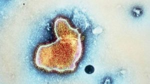 EE.UU. aprueba la primera vacuna del mundo contra el virus respiratorio sincitial, por el que mueren miles de niños al año