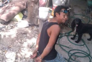 En Playa del Carmen sorprenden a hombre cocinando al gato del vecino 