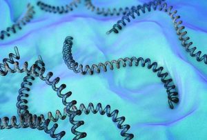 En Ecuador se registró el primer fallecido por leptospirosis