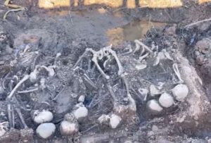 Fosa común de la Segunda Guerra Mundial fue encontrada en la región rusa de Leningrado