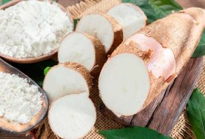 Mujeres de Sarayacu elaboran la tradicional “cerveza” de yuca