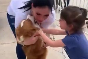 Familia vivió un emotivo reencuentro al recuperar a su perro perdido