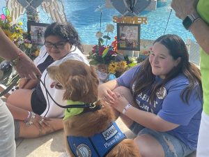 Perros son usados como terapia tras tiroteos masivos en EE.UU.