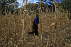 Perú declara en estado de emergencia 131 distritos por peligro de El Niño