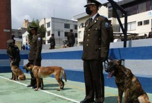 Perros donados por Francia ayudarán en la lucha contra el narcotráfico