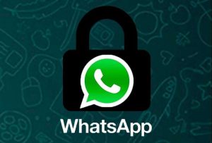Cómo proteger tus cuenta y conversaciones de WhatsApp para que nadie pueda leerlas