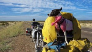 Esta pareja emprendió la vuelta al mundo en moto con su querida perra. Entonces sobrevino la tragedia
