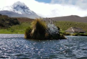 Calcula cuánta agua consumes al día de forma rápida