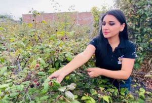 Todas las líneas de crédito de BanEcuador están vigentes