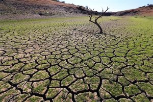 Subsidios de países deben afrontar la crisis climática