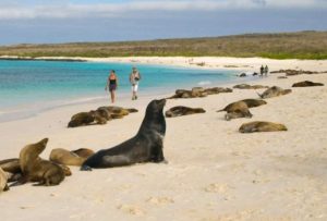 Gobierno Nacional ratificó su soberanía sobre las Islas Galápagos