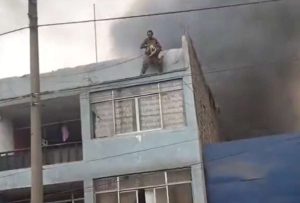 Joven salvó de un incendio a 25 perros en Lima