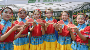 Celebran el Festival de Turismo y Cultura de la Sandía en Hefei, provincia de Anhui
