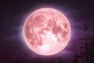 ¿Cuándo se podrá ver la Luna de fresa?