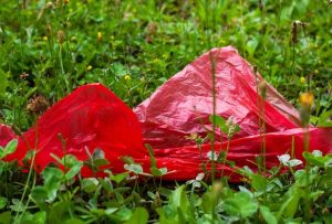 Nueva Zelanda prohíbe el uso de fundas finas de plástico en toda la nación