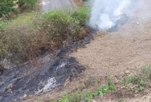 Quito: ECU 911 ha coordinado la atención de 79 emergencias relacionadas con incendios forestales