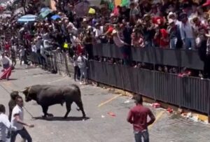 Hombre queda inconsciente tras cornadas de un toro en festival de México