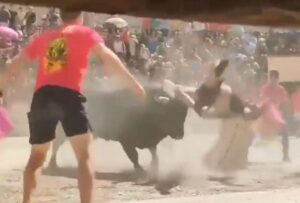 Turista francés en estado grave tras en un encierro en Albacete