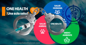 Concepto de «Una Sola Salud» (One Health) de la OMS y la Enfermedad X