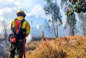 25 alumnos sufrieron problemas respiratorios por un incendio forestal, en Quito