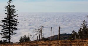 Chilenos exigen políticas climáticas más estrictas