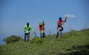 Casi el 30 % de la población mundial sufre inseguridad alimentaria, alerta la FAO