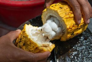 Ecuador firmará un importante acuerdo