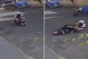 Perro aterriza encina de un motociclista