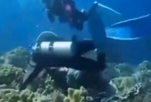 En las profundidades marinas, así se ve un terremoto