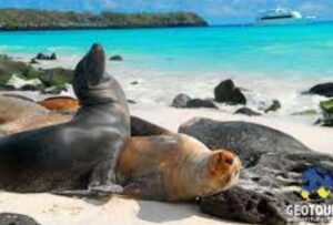 En Galápagos, festejaron el Año Nuevo con material pirotécnico