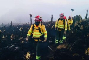 El incendio forestal que afectó a parte de la Reserva El Ángel, en Carchi, fue contralo en un 80%