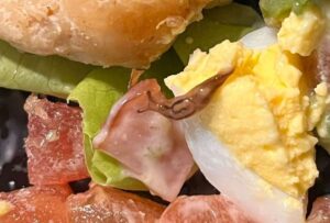 Un usuario de la red social X (antes Twitter) denunció, en una publicación, que en un pedido realizado por su amiga a un conocido restaurante de Guayaquil encontró una babosa