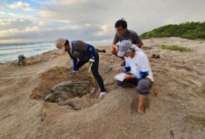 Se instalaron campamentos permanentes para el monitoreo y seguimiento técnico a la anidación de tortugas marinas en el archipiélago de Galápagos