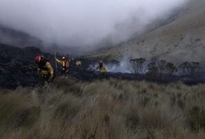 El Cuerpo de Bomberos de Quito informó que el incendio forestal en el sector del Carmen – Sincholagua