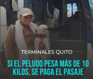 Si pesa más de 10 kilos, deberá pagar el pasaje completo