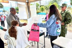 ¿Consultó si está en mesa para la Consulta Popular 2024?