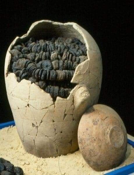 Vasija de 3100 años de antigüedad