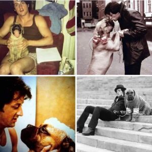 PIRC-AMOR VERDADERO