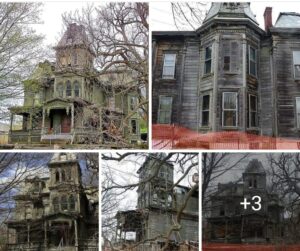 𝐌𝐚𝐧𝐬𝐢𝐨́𝐧 𝐖𝐞𝐛𝐬𝐭𝐞𝐫 𝐖𝐚𝐠𝐧𝐞𝐫