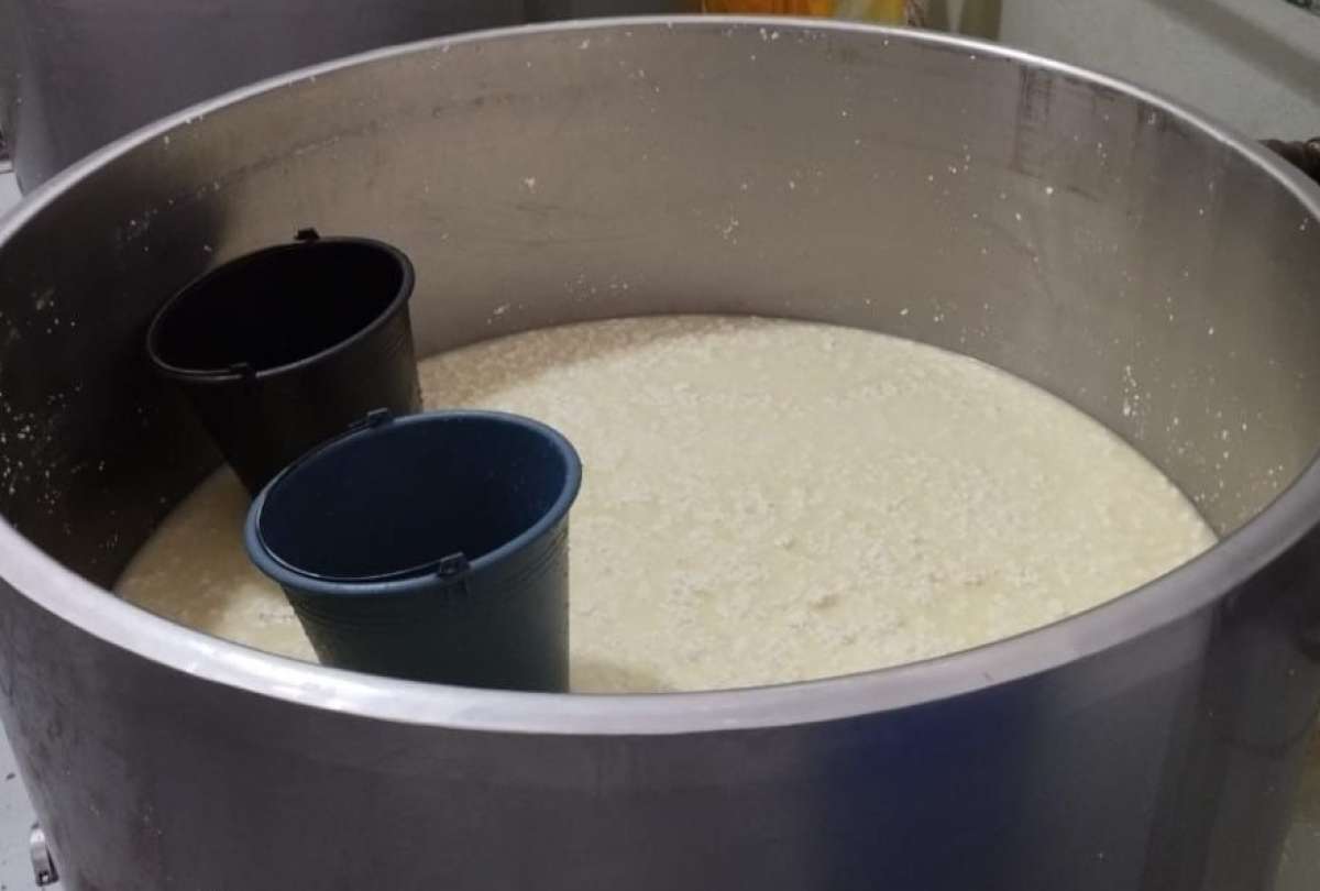 La Agencia Nacional de Regulación, Control y Vigilancia Sanitaria (Arcsa) clausuró una planta procesadora de lácteos ubicada en Sigchos, provincia de Cotopaxi