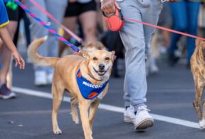 La agenda para el fin de semana (sábado 13 y domingo 14 de julio de 2024)