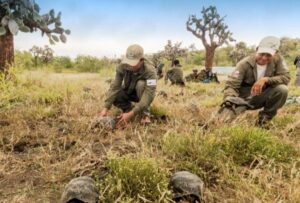 El Ministerio del Ambiente, Agua y Transición Ecológica (MAATE), en coordinación con los Ministerios de Defensa Nacional e Interior, dará acompañamiento militar y naval
