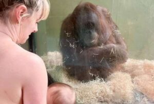 Un grupo de 30 mujeres participaron en una iniciativa pionera en el zoológico de Dublín