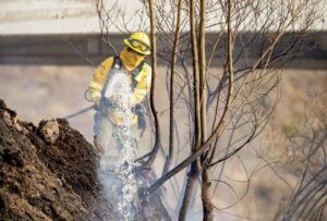 Ecuador enfrenta una ola de incendios forestales, debido a la falta de lluvias y al incremento de las temperaturas globales
