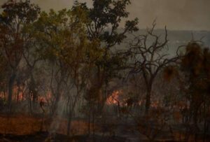 Los incendios en Brasil han afectado al país sudamericano