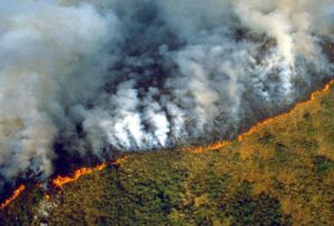 El estado de Amazonas, en Brasil, vivió en agosto de 2024 su peor temporada de incendios en 14 años